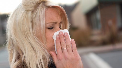 Infeção nos adultos por vírus que causa bronquiolites pode ser mais perigosa que gripe