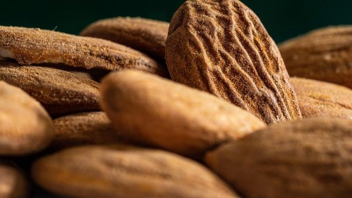 Estação Espacial prova que pode fermentar miso embora o sabor seja um pouco diferente