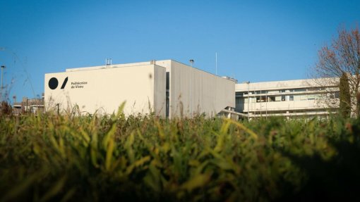 Estudo do Politécnico de Viseu mostra resultados alarmantes sobre literacia financeira dos estudantes