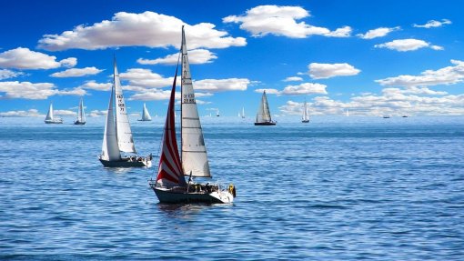 Barcos são veículos perfeitos para disseminação global das térmitas – Estudo