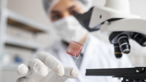 Bactérias ‘desenhadas’ emitem sinais que podem ser detetados à distância