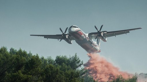 Incêndios: Proprietários florestais pedem prolongamento de prazo para limpeza de terrenos