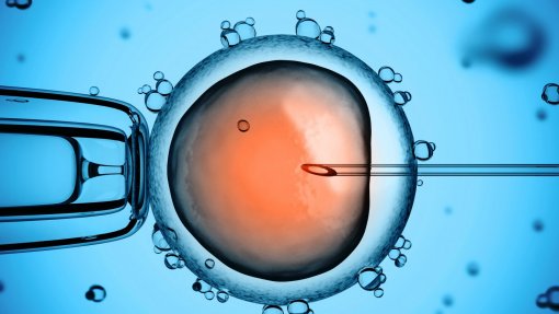 Conselho de Ética alerta para sérios riscos da inseminação caseira na saúde da mulher