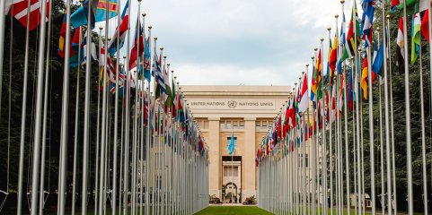 Médio Oriente: Relatora da ONU condena ataque israelita a hospital em Gaza