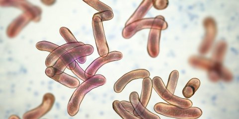 UNITA acusa Governo angolano de ser incapaz de combater maior epidemia de cólera em 30 anos