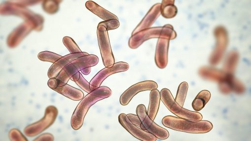 UNITA acusa Governo angolano de ser incapaz de combater maior epidemia de cólera em 30 anos