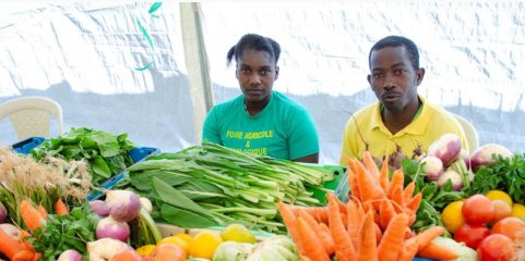 Insegurança alimentar sobe na Guiné-Bissau em 24% nos últimos 12 meses – PAM