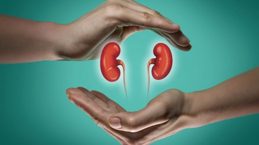 Apagão: Transplante renal cruzado entre Portugal e Espanha teve de ser adiado - Coordenador