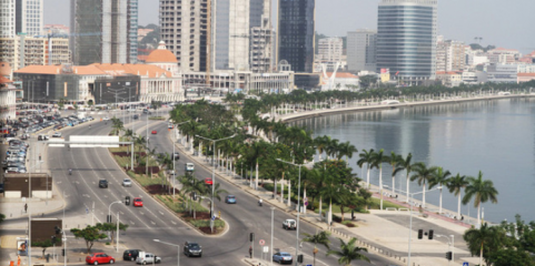 Raiva matou 171 pessoas em Angola em 2024