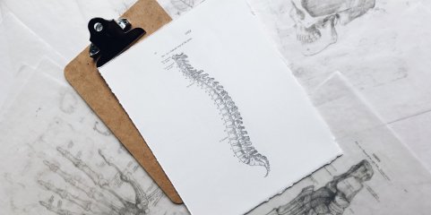 Ordem dos fisioterapeutas defende criação de unidades de fisioterapia no SNS