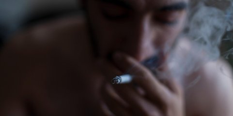 Publicado diploma que alarga proteção no trabalho contra substâncias tóxicas para reprodução