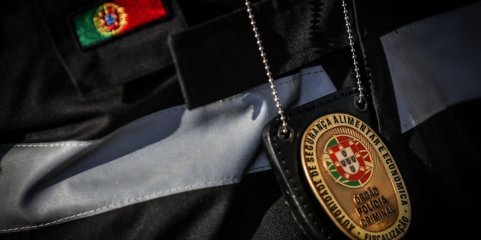 Apreendidas 32 toneladas de produtos em três estabelecimentos ilegais na região Norte