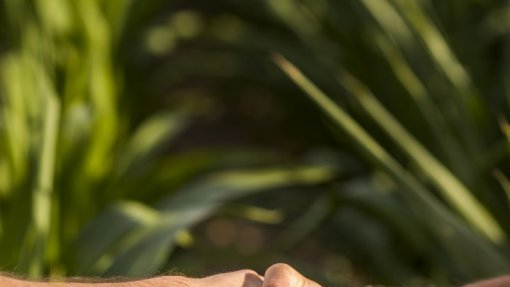 Candidaturas a apoios de 9,9 ME face à língua azul e tempestade Kirk terminam hoje