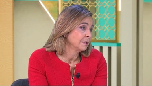 Ministra da Saúde diz que novo plano para a obstetrícia não prevê encerramentos