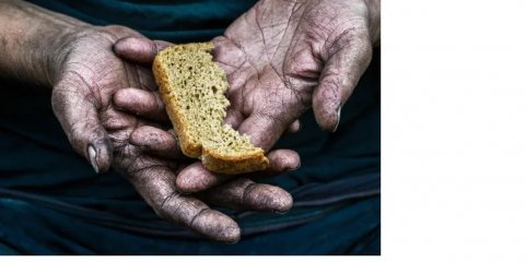 Médio Oriente: População de Gaza corre sério risco de morrer à fome - relatório