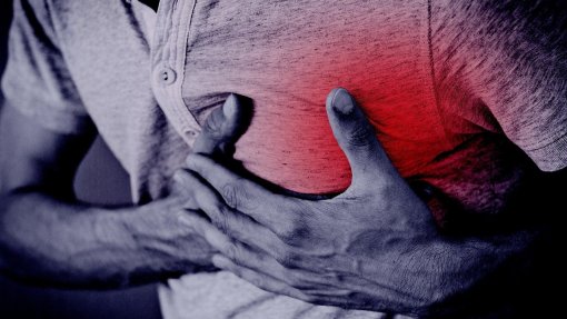 Investigadores criam penso cardíaco que ajuda na recuperação após enfarte do miocárdio