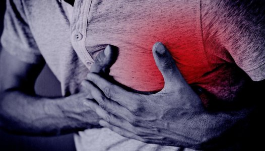 Investigadores criam penso cardíaco que ajuda na recuperação após enfarte do miocárdio