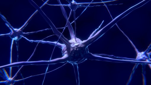 Descoberta nova forma de aprendizagem cerebral baseada na tentativa e erro