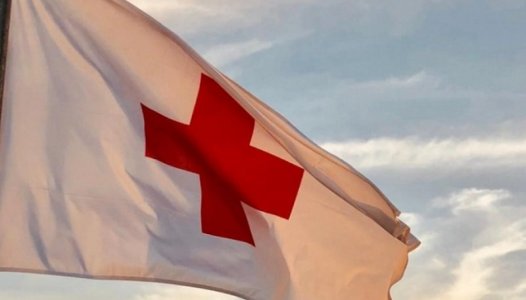 Cruz Vermelha Portuguesa lança &quot;Guia de etiqueta na saúde mental&quot;