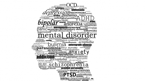 Concurso para respostas na comunidade para doença mental crónica só abriu em fevereiro