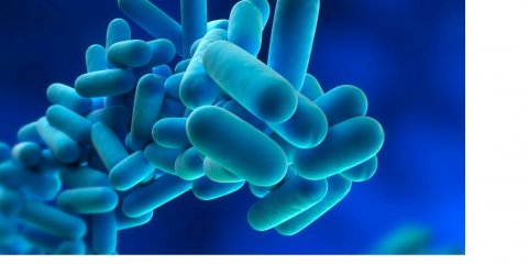 Bactéria &#039;legionella&#039; detetada nas estações ferroviárias de Beja e Cuba