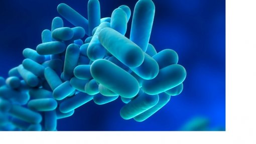 Bactéria &#039;legionella&#039; detetada nas estações ferroviárias de Beja e Cuba