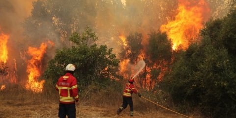 Incêndios: Municípios à espera do novo executivo para acelerar posse de terrenos privados