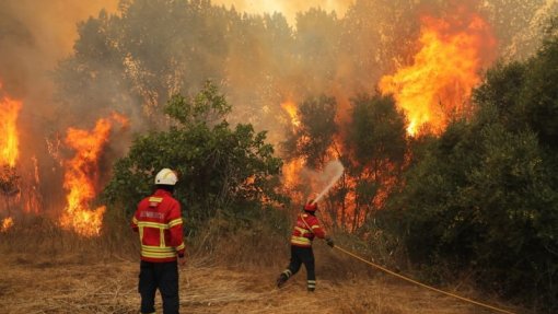 Incêndios: Catorze concelhos de Bragança, Guarda e Faro em perigo máximo