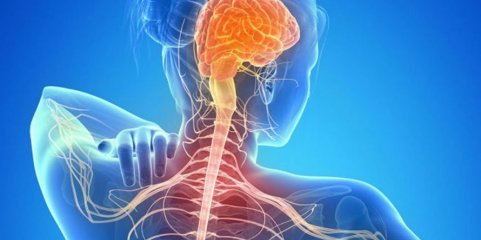 Doentes com esclerose múltipla esperam em média três anos por diagnóstico - estudo
