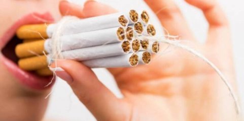 Existe uma ideia política errada de que o tabaco faz parte da economia - Pneumologistas