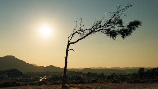 Aviso amarelo devido a calor alargado a Bragança, Guarda e Vila Real