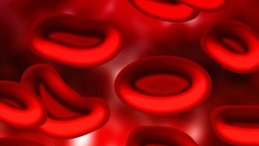 Análise ao sangue poderá substituir amostras de medula óssea na deteção da leucemia