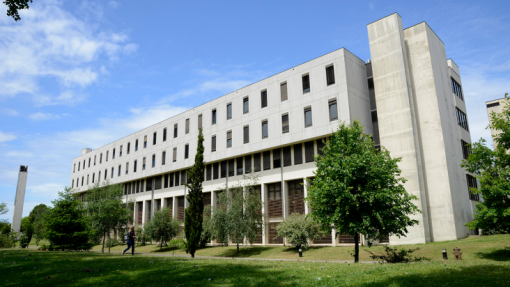 Investigadores do Porto lideram projeto internacional para prevenir cianobactérias