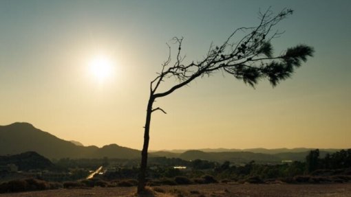 Governo francês confirma duas mortes relacionadas com o calor