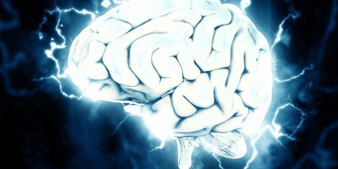 Células cerebrais continuam a formar-se até ao fim da idade adulta