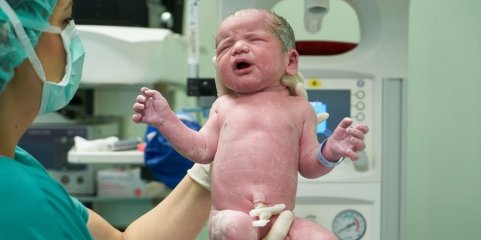 PS questiona Governo sobre serviço de ginecologia e obstetrícia de Aveiro