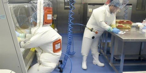 Descoberto nanocorpo capaz de neutralizar os vírus mortais Hendra e Nipah