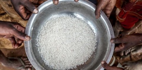 Fome diminui globalmente em 2024 mas aumenta em África e no Médio Oriente - relatório