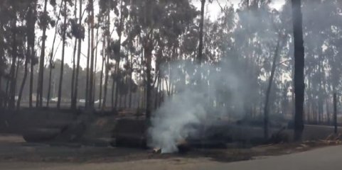 Incêndios: DGS emite recomendações sobre o que fazer em caso de exposição ao fumo