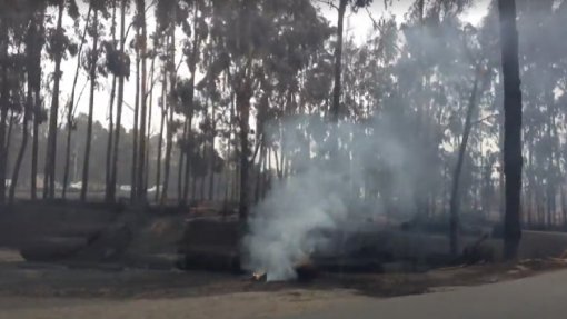 Incêndios: DGS emite recomendações sobre o que fazer em caso de exposição ao fumo