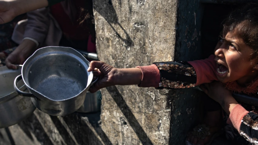 Médio Oriente: Catástrofe em Gaza lembra cenários de fome na Etiópia e no Biafra - ONU