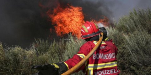 Incêndios: Autarca de Ponte da Barca espera meios aéreos pesados quarta-feira para controlar fogo