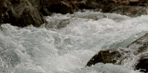 Moçambique garante que água do rio Limpopo não oferece risco para saúde