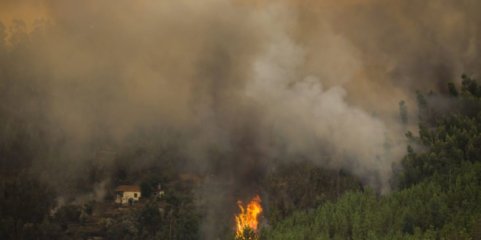Incêndios: Associação Zero quer avisos públicos sobre poluição do ar e inalação de fumos