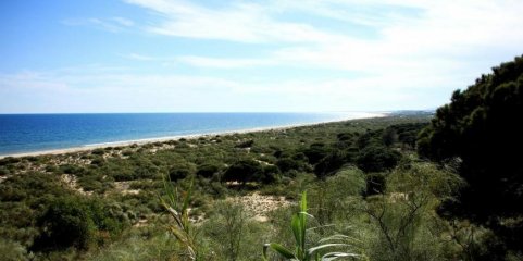 Interditados banhos nas praias Verde e da Alagoa - Altura por contaminação microbiológica