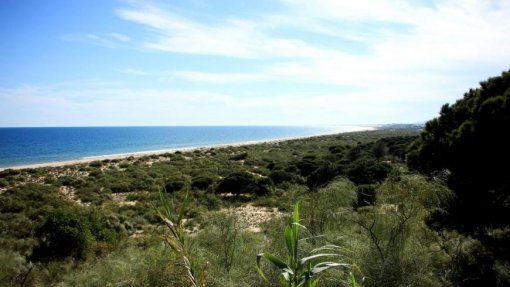 Interditados banhos nas praias Verde e da Alagoa - Altura por contaminação microbiológica