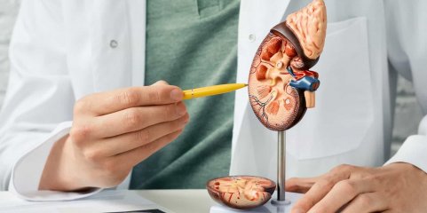 Campanha alerta nas praias para prevenção da doença renal crónica