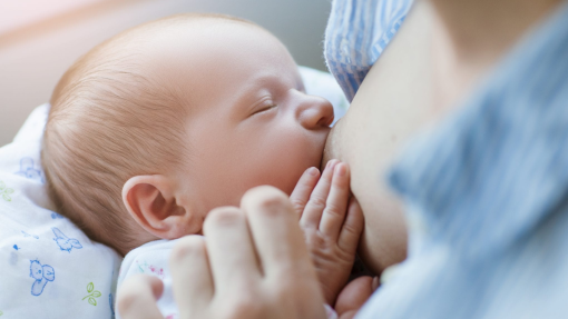 Não se pode punir as mães por suposto incumprimento de minoria - bastonário