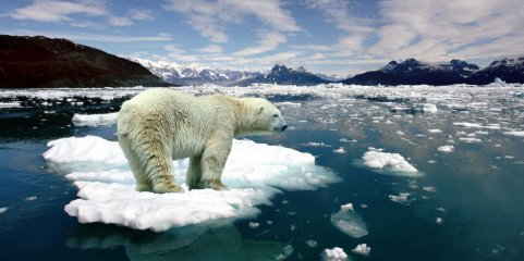 WWF diz que desinformação climática aumenta em contexto de incerteza e é obstáculo à ação