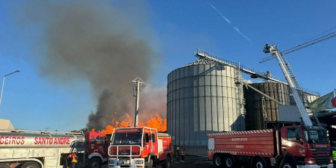 Incêndios: Movimento alega problemas respiratórios em Cercal do Alentejo, autoridades desconhecem